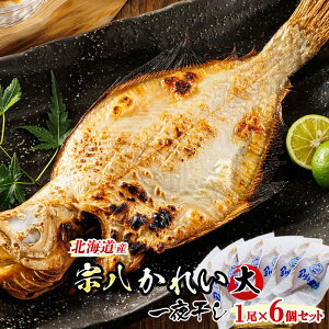 yӂ邳Ɣ[ŁzkCY@@ꂢ()@1×6Zbg b  ͂  銱  Xgbvᐧx IC     ؂g Ⓚ pbN kC H H