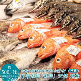 【ふるさと納税】プロ厳選 北海道産 天然 鮮魚セット （冷蔵） 500g〜1kg ｜ 鮮魚ボックス 詰め合わせ 刺身 下処理 切り身 料理に 人気 ヒロセ 産地直送 魚介 海鮮 すぐ 届く 発送 すぐ届く 釧路町 釧路超 特産品 br02