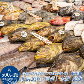 【ふるさと納税】お魚の目利きのプロにお任せ！北海道産（国産） 天然 鮮魚 約500g～1kg（釧路の鮮魚セット）【発送月が選べる！】 定期便選択可 定期便 定期 冷凍 冷凍便 刺身 魚介類 魚 魚介 干物 切り身 冷凍 パック 詰め合わせ 北海道 釧路町 釧路超 特産品 br02