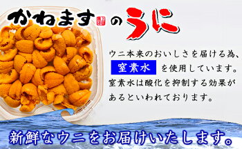 楽天市場 ふるさと納税 北海道産塩水うに 蝦夷ばふんうに 100g １ 魚貝類 雲丹 ばふんうに 濃厚 新鮮 お届け 9月は 配送不可期間となります 北海道厚岸町