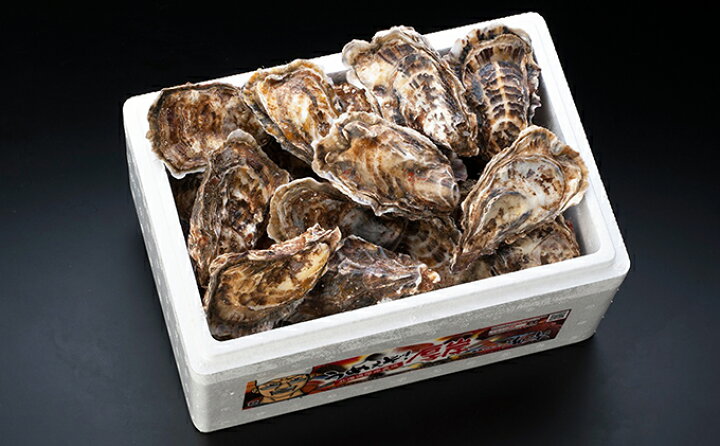 楽天市場 ふるさと納税 北の海のミルク 厚岸産牡蠣3lサイズが50個 魚貝類 生牡蠣 かき カキ ３l 北海道厚岸町