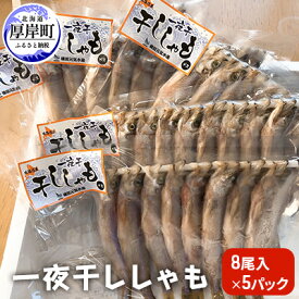 楽天市場 ふるさと納税 干物真空パックの通販
