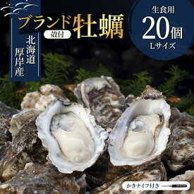 【ふるさと納税】厚岸産　殻付カキLサイズ20個（生食用） 魚貝類 生牡蠣 かき 牡蠣 メルマガ掲載商品2 　お届け：※12月20日～1月8日配送不可