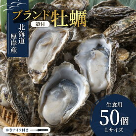 【ふるさと納税】パーティー用 北海道 厚岸産牡蠣 Lサイズ50個入（目安：10人前） ふるさと納税 北海道 牡蠣 カキ かき 生食 生食用 生牡蠣 パーティー ミルク 魚貝類 殻付き牡蠣 シーフード 　お届け：※12月20日～1月8日配送不可