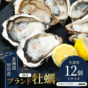 yӂ邳Ɣ[ŁzkCݎY y LTCY 1_[Xi12j Hp y Lty L CN  V[t[h kty } }Kfڏi1 @͂F1220`18