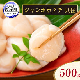 【ふるさと納税】ジャンボホタテ貝柱 500g (12玉前後) 北海道 帆立 ホタテ ほたて 貝柱 ホタテ貝柱 玉冷 魚貝類