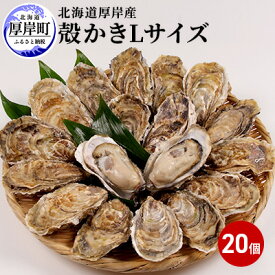 【ふるさと納税】厚岸産　殻かき L20個セット 北海道 牡蠣 カキ かき 生食 生食用 生牡蠣　【魚貝類 生牡蠣 かき】