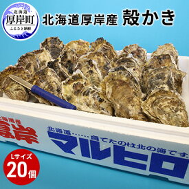 【ふるさと納税】厚岸産 殻かき L20個セット 北海道 牡蠣 カキ かき 生牡蠣 殻付 魚貝類 マルえもん