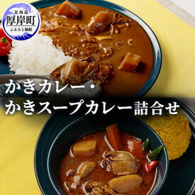 【ふるさと納税】かきカレー かきスープカレー詰合せ 北海道 カレー スープ スープカレー レトルト レトルトカレー レトルト食品　【加工品 レトルト 牡蠣】