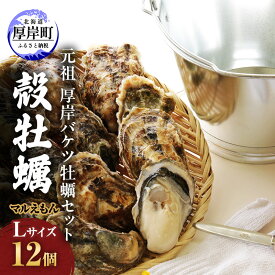 【ふるさと納税】元祖 厚岸バケツ牡蠣セット12個 北海道 牡蠣 カキ かき 魚介類 シーフード マルえもん