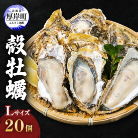 【ふるさと納税】厚岸産 殻牡蠣 Lサイズ 20個 セットカキ 牡蠣 魚介類 送料無料 新鮮 濃厚 大粒 マルえもん メルマガ掲載商品2