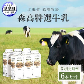 【ふるさと納税】森高特選 牛乳 1L 6本セット 3ヶ月 定期便 (各回6L×3ヶ月,合計18L) 北海道 乳 ミルク