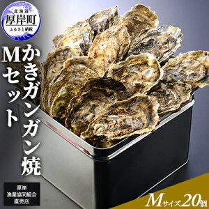 yӂ邳Ɣ[Łzy݋Xz KK MZbg20 kC y JL  y kt 