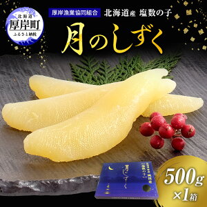 yӂ邳Ɣ[Łz̎q kCY ̎q ̂ 500g ̂   @͂F2025N1120`1228@