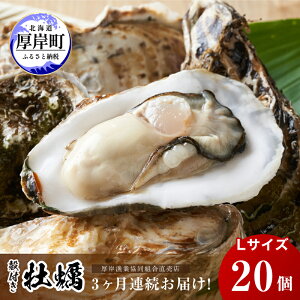 yӂ邳Ɣ[Łz 3 kC ݎY y LTCY 20 (e20×3,v60) kt H JLiCtt  JL y  L