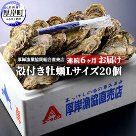 【ふるさと納税】定期便 6ヶ月 北海道 厚岸産 牡蠣 Lサイズ 20個 (各回20個×6ヶ月分,合計120個) 殻付き 生食 カキナイフ付き かき カキ 魚貝類 生牡蠣