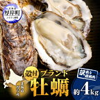訳あり 牡蠣 北海道厚岸産 殻付カキ 約4kg (25から50個) カキナイフ付 生食　【 生牡蠣 貝付き牡蠣 貝 海鮮 魚介類 殻付き牡蠣 】