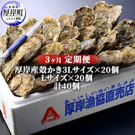 【ふるさと納税】定期便 3ヶ月 北海道 厚岸産 牡蠣 3L 20個 と L 20個 ひと月あたり40個お届け (各回40個×3ヶ月分,合計120個) 殻付き 生食 かき カキ　【定期便・ 生食 生牡蠣 貝付き牡蠣 貝 海鮮 魚介類 】