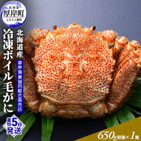 【ふるさと納税】【3D冷凍】北海道産 冷凍ボイル毛がに 650g前後×1尾 毛カニ 蟹 毛ガニ カニ かに