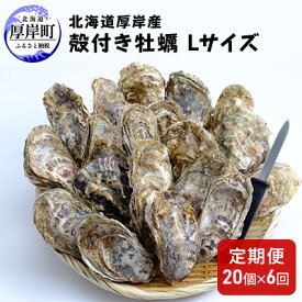 【ふるさと納税】6ヶ月 定期便 厚岸産 殻付き 牡蠣 Lサイズ 20個入 (各回20個×6ヶ月分,合計120個) カキナイフ付き 加熱容器付き 魚貝類 生牡蠣 かき 殻付き牡蠣 マルえもん 6カ月 6回 半年
