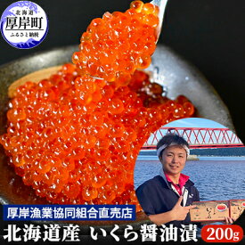 【ふるさと納税】北海道産 いくら 醤油漬け 200g　【魚貝類・いくら・魚卵・いくら醤油漬け・イクラ・200g】