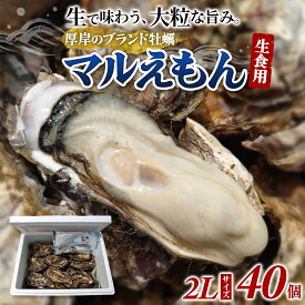 【ふるさと納税】牡蠣 厚岸のブランド牡蠣 マルえもん 2Lサイズ 40個 生食用 魚貝類 海鮮 海のミルク 国産 生食用殻付き牡蠣 まろやか クリーミー 食べやすい品種 海の香り 牡蠣の酒蒸し 焼き牡蠣
