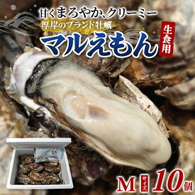 【ふるさと納税】牡蠣 厚岸のブランド牡蠣 マルえもん Mサイズ 10個 生食用 魚貝類 海鮮 海のミルク 国産 生食用殻付き牡蠣 まろやか クリーミー 食べやすい品種 海の香り 牡蠣の酒蒸し 焼き牡蠣