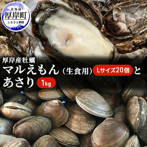 yӂ邳Ɣ[ŁzkCݎYyu}vLTCY20iHpjƂ1kg C̃~N Y kt  Ăy @͂F7{8܂ł̋֋ԂƂȂ