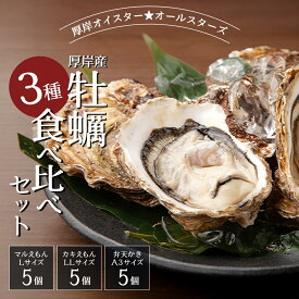 【ふるさと納税】北海道 牡蠣 3種 食べ比べ セット 厚岸オイスターハーフ ★オールスターズ 生食 　お届け：2025年11月～12月10日頃、2026年1月～6月末頃　※年末お届け不可