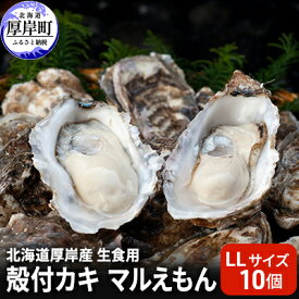 【ふるさと納税】北海道 厚岸産 生食用 殻付カキ LLサイズ 10個 マルえもん 牡蠣 魚貝類 生牡蠣 かき 　お届け：※12月20日～1月8日配送不可