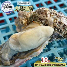 【ふるさと納税】北海道 厚岸産 大鷲牡蠣 10個 カキ 牡蠣 殻牡蠣 魚貝類 海鮮 海の幸 生牡蠣 カキえもん 生食用牡蠣 殻付かき つまみ お酒のあて 　お届け：2025年11月～12月10日頃、2026年1月10日頃～5月末まで、