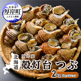 【ふるさと納税】先行受付 北海道 厚岸産 殻灯台 つぶ 2kg（1kg×2パック） 魚介類 海の幸 海産物 海鮮 貝 つぶ貝 希少 下処理不要 刺身 塩茹で お酒のあて つまみ 国産 北海道産 　お届け：2026年4月1日～6月10日頃まで
