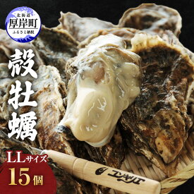 【ふるさと納税】牡蠣 厚岸産殻牡蠣 LLサイズ 15個 セット 魚介類 産地直送 生牡蠣 オイスター 海の幸 海鮮 生食用 生食用牡蠣