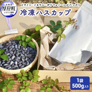 yӂ邳Ɣ[Łz݃nXJ ⓀnXJbv 1܁i500gj AgVAj X[p[t[h ʎ r^~ ~l R_p |tFm[ kCY
