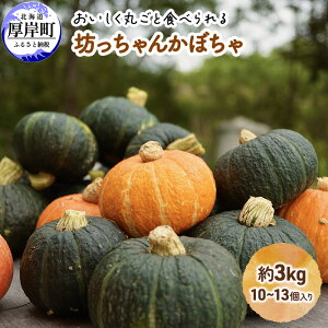 yӂ邳Ɣ[Łz݃nXJ V񂩂ڂ 3kgi10`13j  Z Â kCY kCڂ pvL @͂F2025N10`11{܂