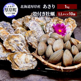 【ふるさと納税】北海道 厚岸産 あさり1kg 殻付き 牡蠣 LLサイズ 10個　【 魚貝類 海鮮 海の幸 ふっくら 濃厚 大粒 肉厚 産地直送 】　お届け：2024年3月～6月末、2024年10月～11月末まで