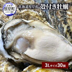 【ふるさと納税】北海道 厚岸産 殻付き 牡蠣 3Lサイズ 30個 魚貝類 生牡蠣 海鮮 海の幸 生食用牡蠣 生食用 生食用殻付き牡蠣 濃厚 甘み マルえもん オイスター
