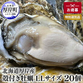 【ふるさと納税】北海道 厚岸産 殻付き 牡蠣 LLサイズ 20個 お歳暮 特別選別品 魚貝類 生牡蠣 海鮮 海の幸 海産物 ふっくら 濃厚 甘み マルえもん オイスター 生食用殻付カキ 生食用 　お届け：2025年12月1日～20日