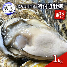 【ふるさと納税】訳あり 北海道 厚岸産 殻付き 牡蠣 1kg 魚貝類 生牡蠣 海の幸 海鮮 オイスター 濃厚な甘み グルメ