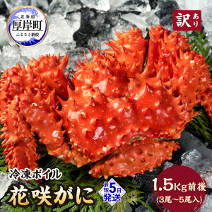 yӂ邳Ɣ[ŁzkCݎY 󂠂 Ⓚ{C ԍ炪 1.5kgO (3`5) I ԍKj  