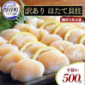 【ふるさと納税】訳あり 不揃い 北海道産 冷凍 ほたて 貝柱 500g ホタテ 帆立 玉冷 魚貝類 北海道産ホタテ 刺身 冷凍貝柱 海の幸 海鮮 海産物 つまみ