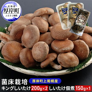 yӂ邳Ɣ[ŁzkCY ݒ y ۏ͔| LO 2pbN ώ 150g×1pbN @͂F2025N9珇z