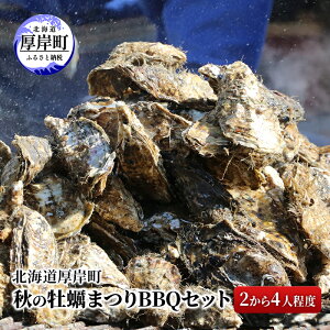 yӂ邳Ɣ[ŁzkC ݒ H y܂ BBQZbg i24lxj ̌`Pbg @͂F2025N101`115܂