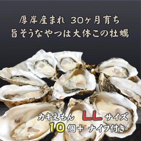 【ふるさと納税】厚岸で産まれ30ヵ月育成 北海道 厚岸産 牡蠣 カキえもん LLサイズ 10個 カキ 　お届け：2025年12月～2026年5月末