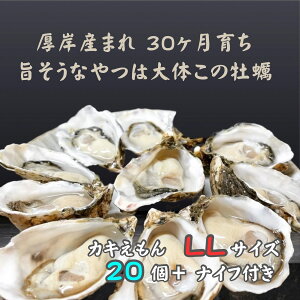 yӂ邳Ɣ[Łz݂ŎY܂30琬 kC ݎY y JL LLTCY 20 JL @͂F2025N12`2026N5