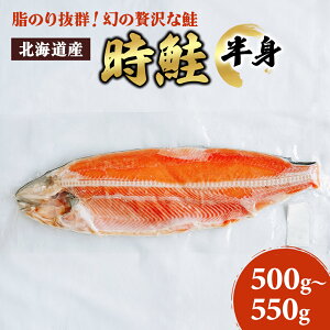 yӂ邳Ɣ[ŁzkCY  g 500g`550g   VP  É Ⓚ gH {