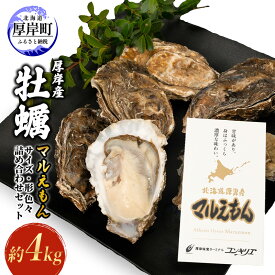 【ふるさと納税】厚岸産 牡蠣マルえもん 約4kg サイズ色々・形色々 詰め合わせセット