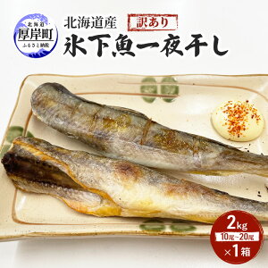 yӂ邳Ɣ[ŁzkCY 󂠂 X 銱 2kg ܂ R}C   g  Ђ kC ݒ@͂F2025N11珇o