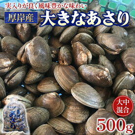 【ふるさと納税】北海道 厚岸産 あさり 500g×1パック (合計500g) 大中混合 アサリ 魚貝 海 美味しい 栄養 旨み 砂出し 水洗い 冷蔵 冷凍保存可能 便利　お届け：2025年9月～2026年7月15日まで
