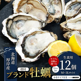 【ふるさと納税】選べるサイズ 回数　Mサイズ～3Lサイズ 家族にちょうどいい容量 北海道厚岸産 牡蠣 マルえもん 12個 [ 魚貝類 海の幸 海のミルク 海鮮 国産 北海道産 オイスター つまみ お酒 あて 肴 生牡蠣 ]